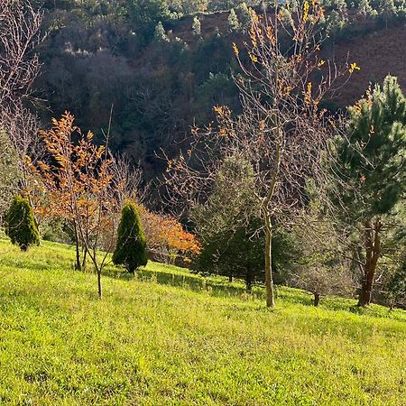 Finca Portizuelo Luarca Dış mekan fotoğraf