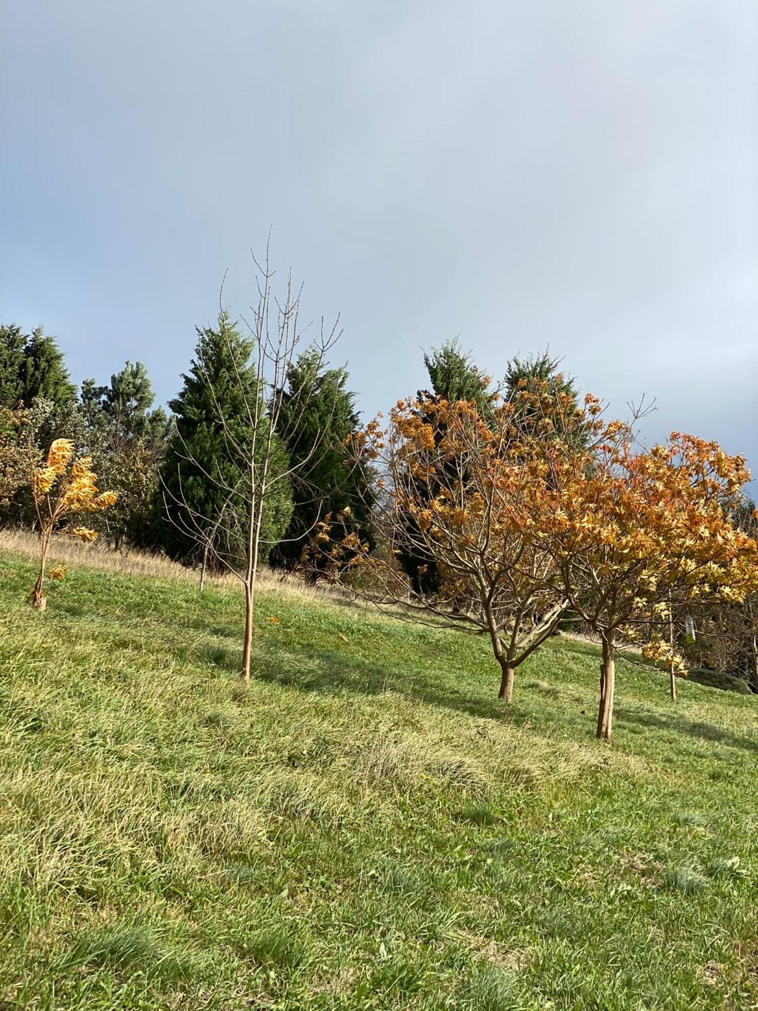 Finca Portizuelo Luarca Dış mekan fotoğraf