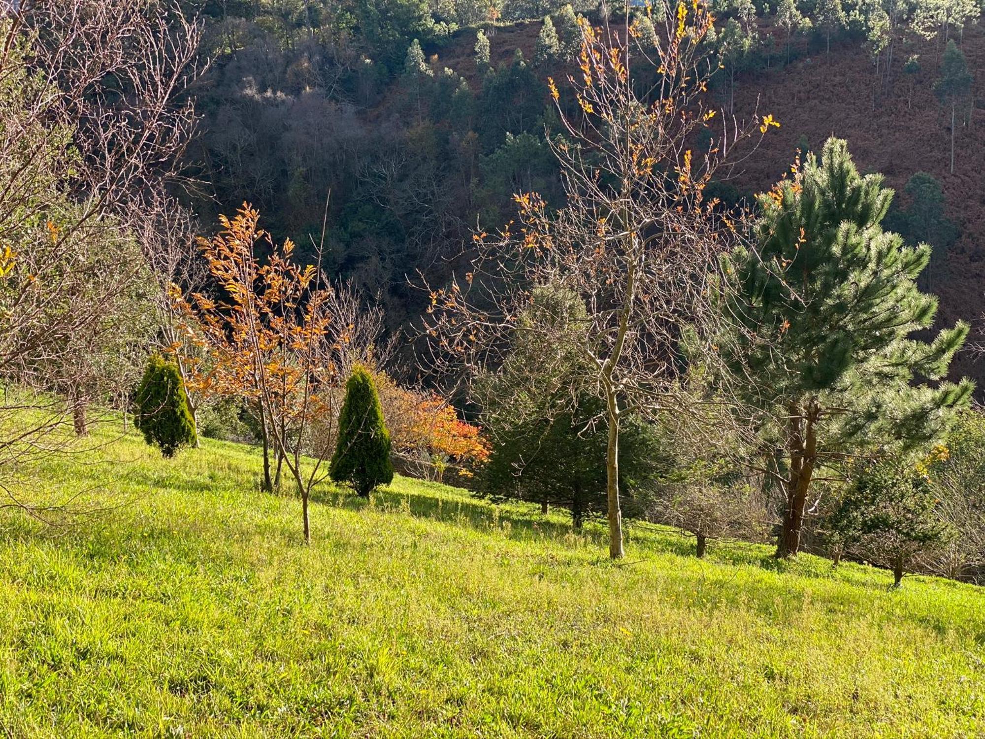 Finca Portizuelo Luarca Dış mekan fotoğraf
