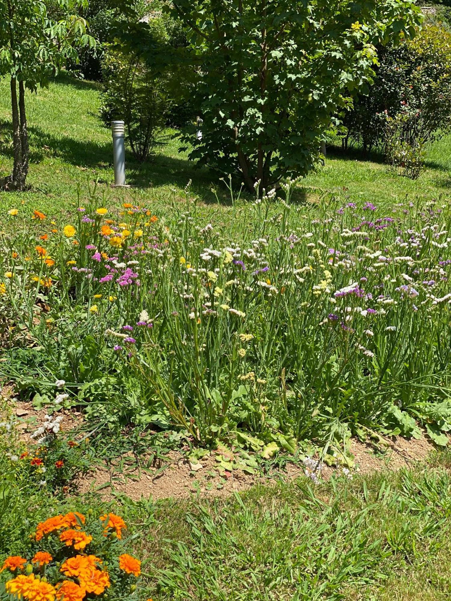 Finca Portizuelo Luarca Dış mekan fotoğraf