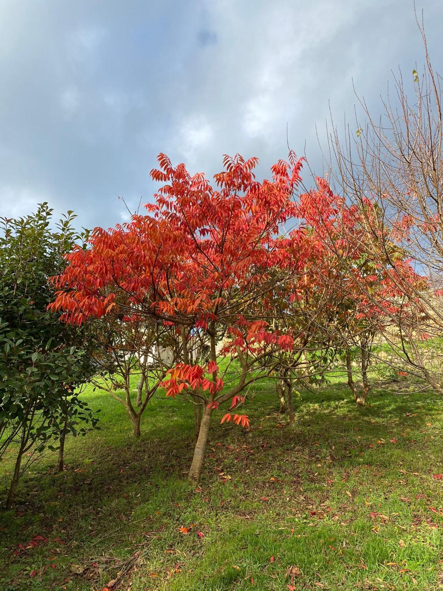 Finca Portizuelo Luarca Dış mekan fotoğraf