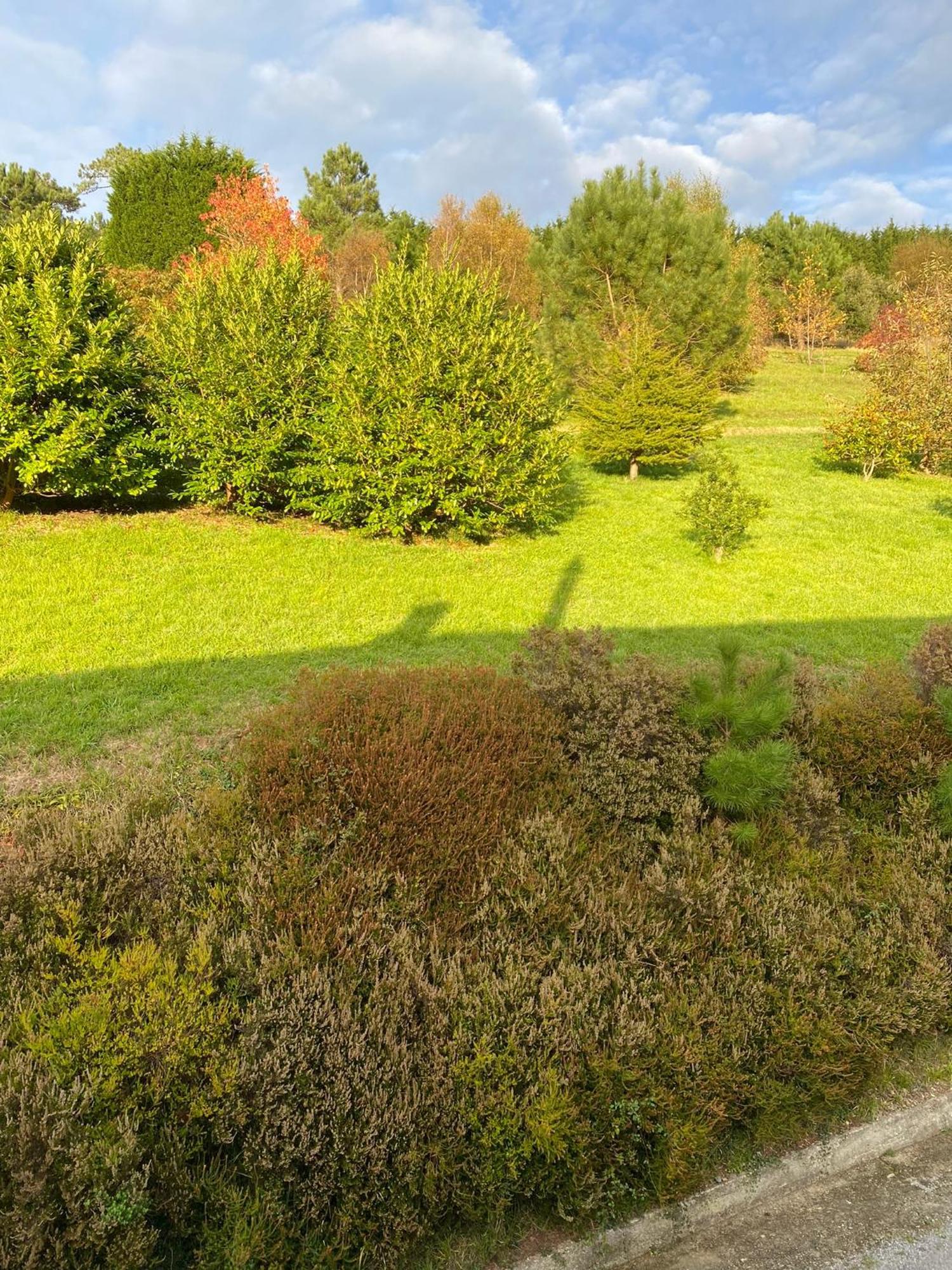 Finca Portizuelo Luarca Dış mekan fotoğraf