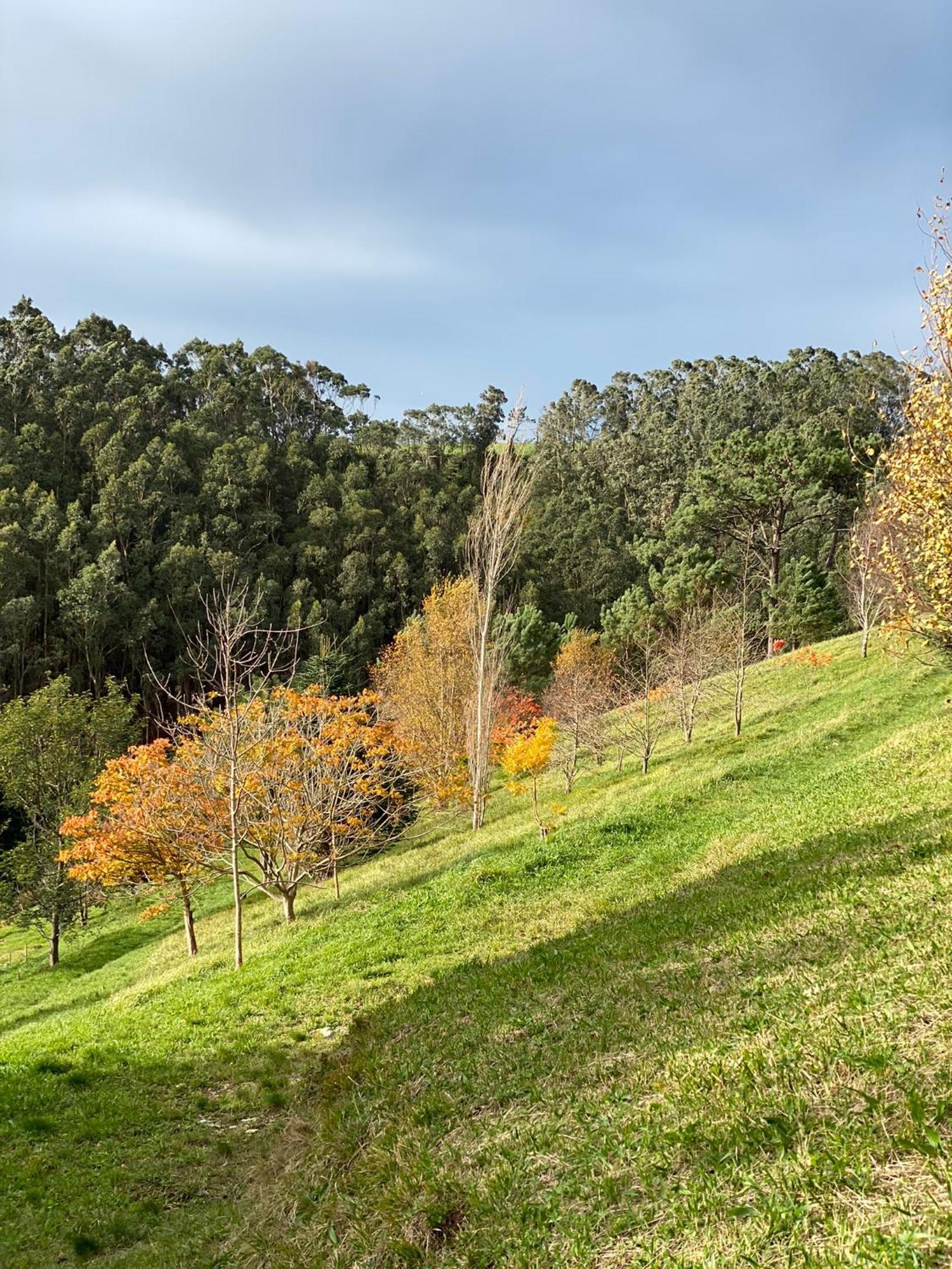 Finca Portizuelo Luarca Dış mekan fotoğraf