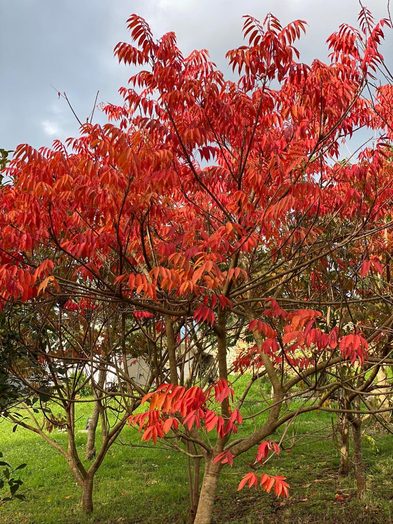 Finca Portizuelo Luarca Dış mekan fotoğraf