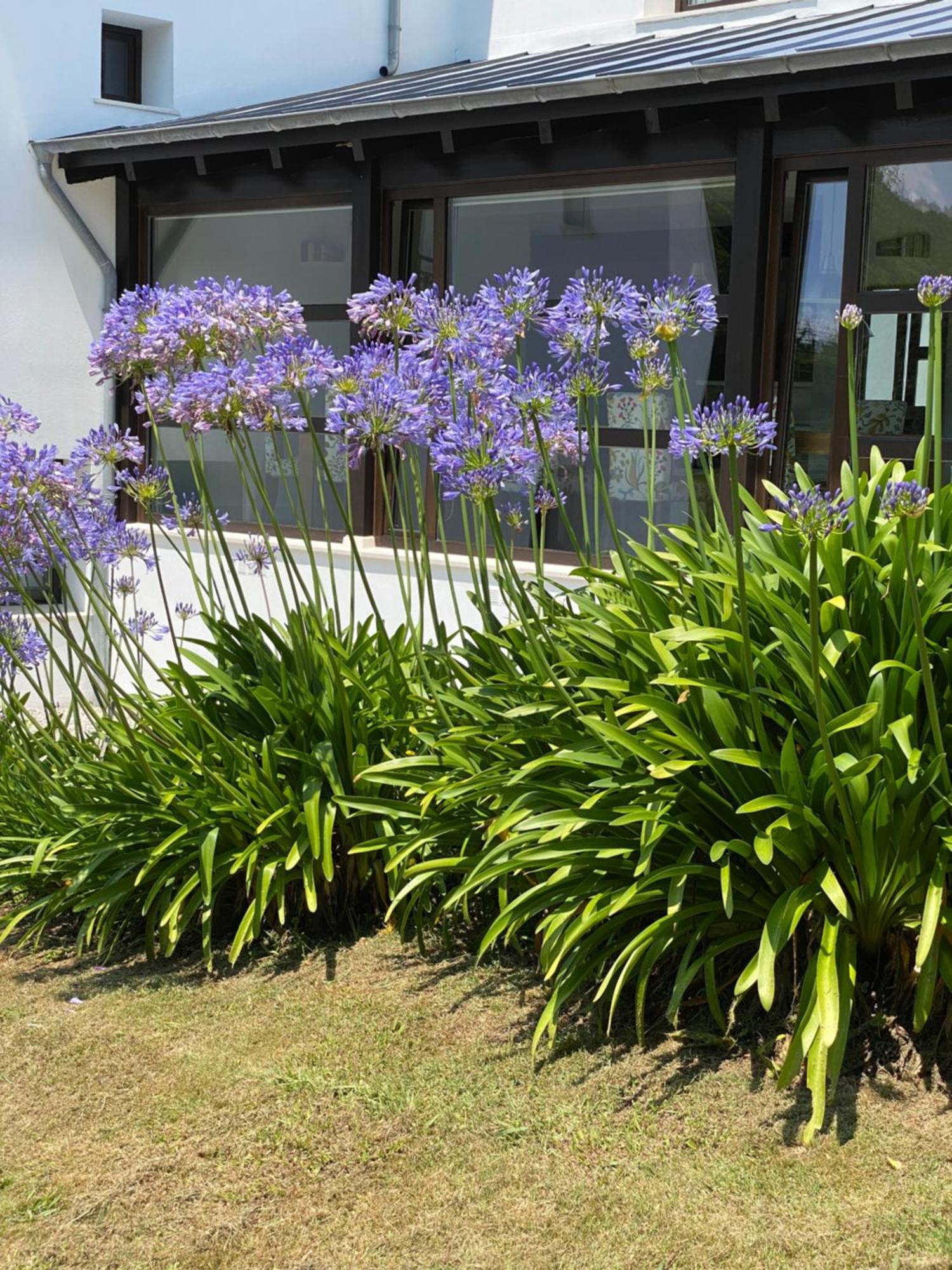Finca Portizuelo Luarca Dış mekan fotoğraf