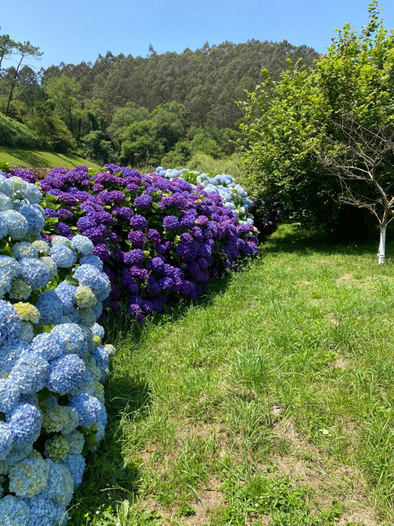 Finca Portizuelo Luarca Dış mekan fotoğraf