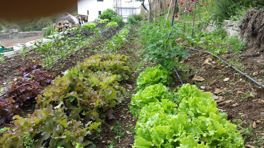Finca Portizuelo Luarca Dış mekan fotoğraf