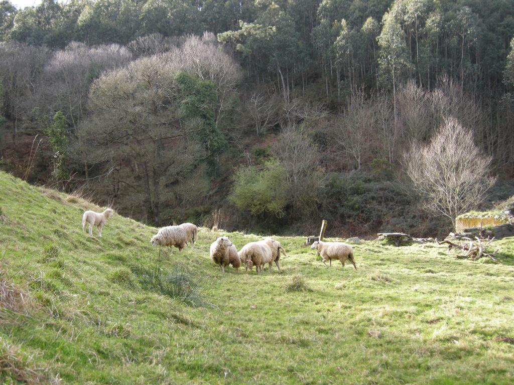 Finca Portizuelo Luarca Dış mekan fotoğraf