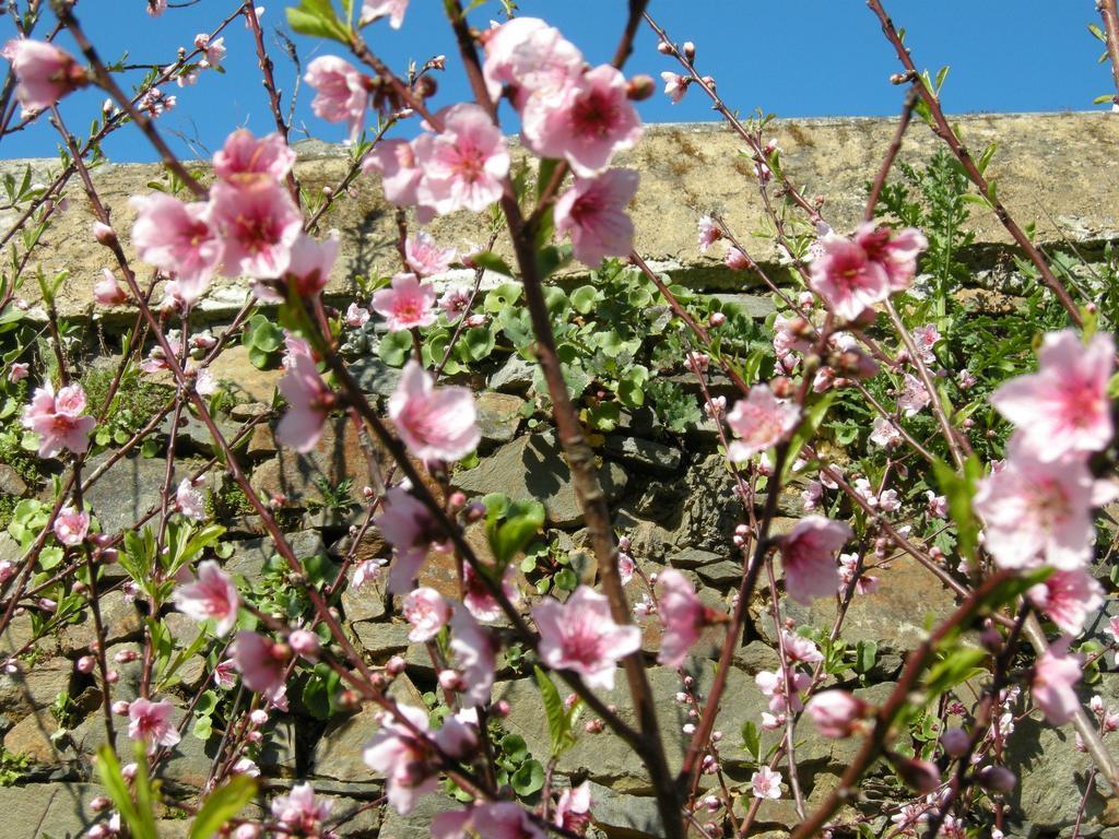 Finca Portizuelo Luarca Dış mekan fotoğraf