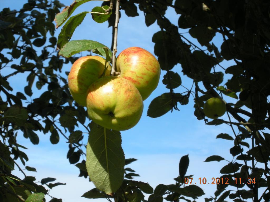 Finca Portizuelo Luarca Dış mekan fotoğraf