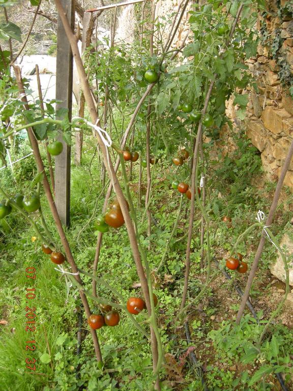 Finca Portizuelo Luarca Dış mekan fotoğraf