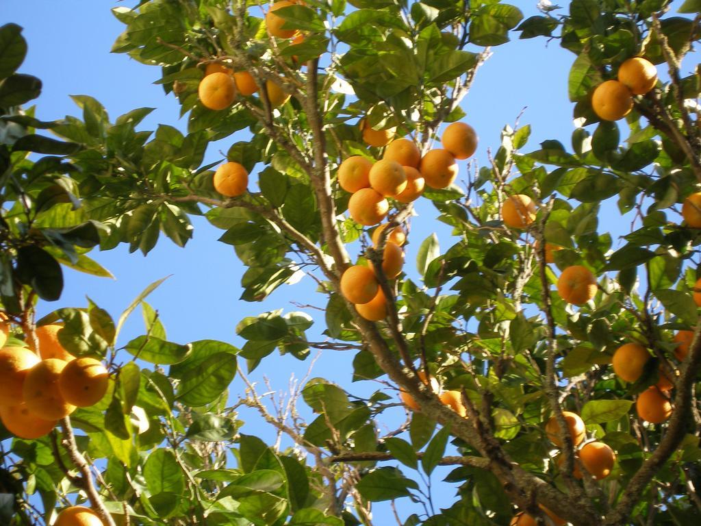 Finca Portizuelo Luarca Dış mekan fotoğraf
